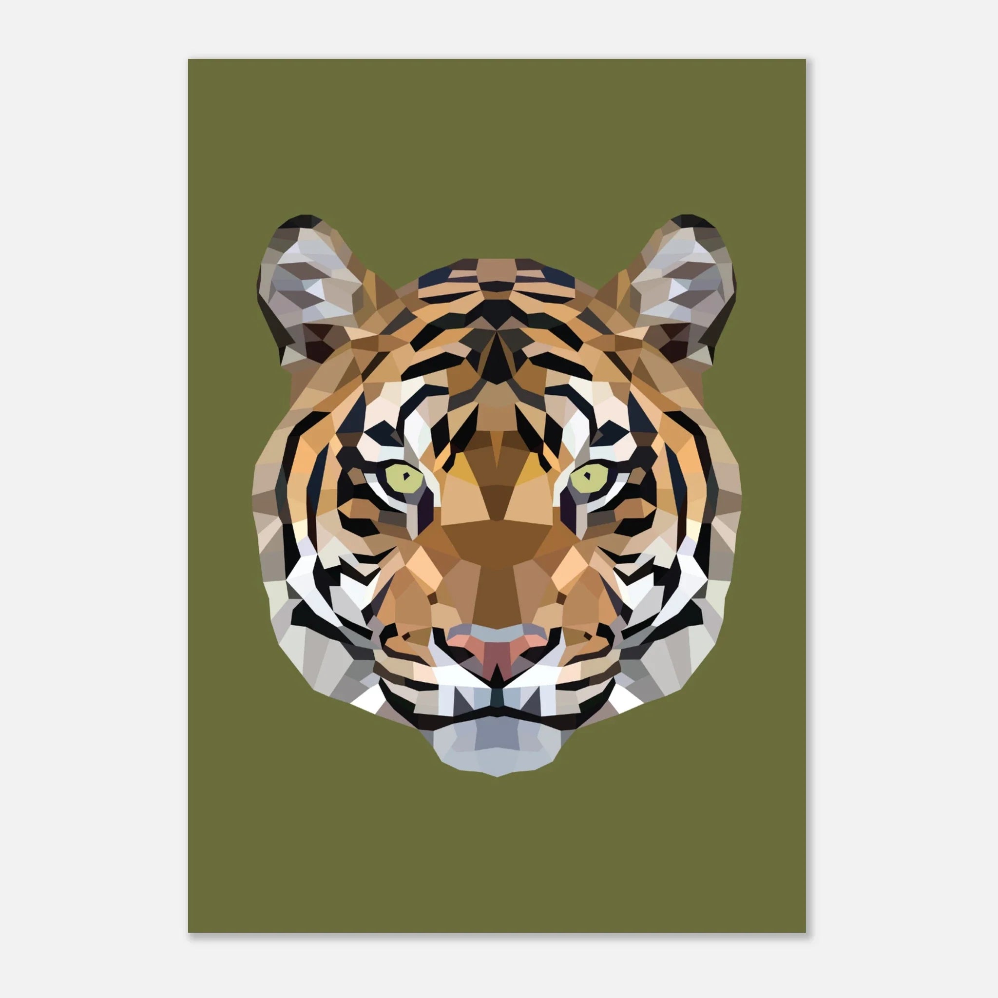 Safari