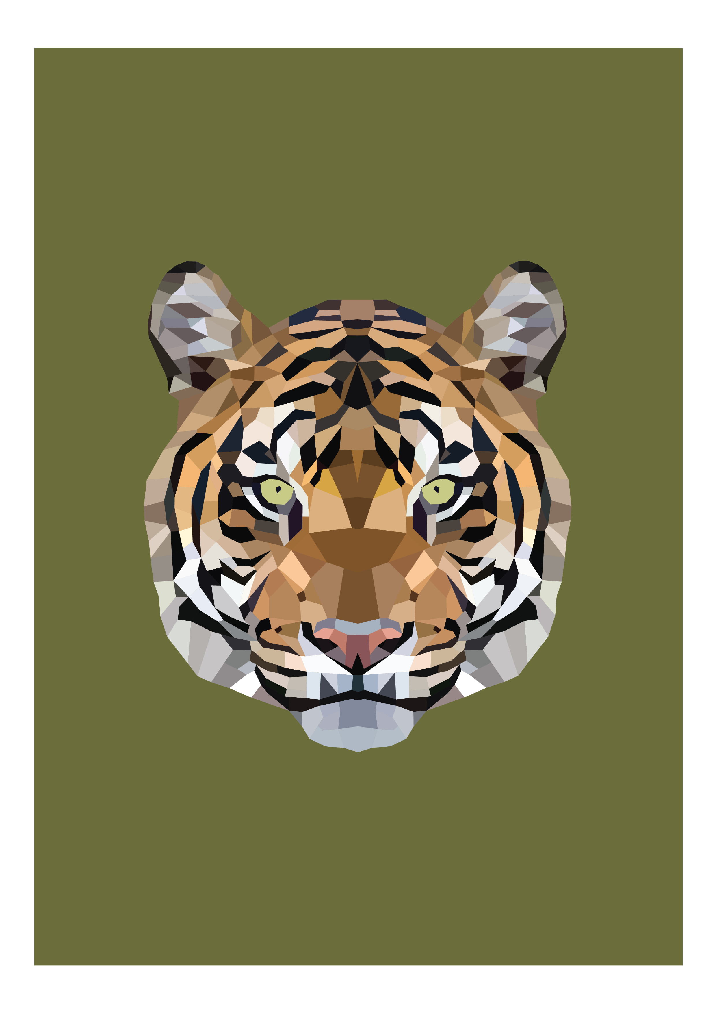 #10 - Tiger