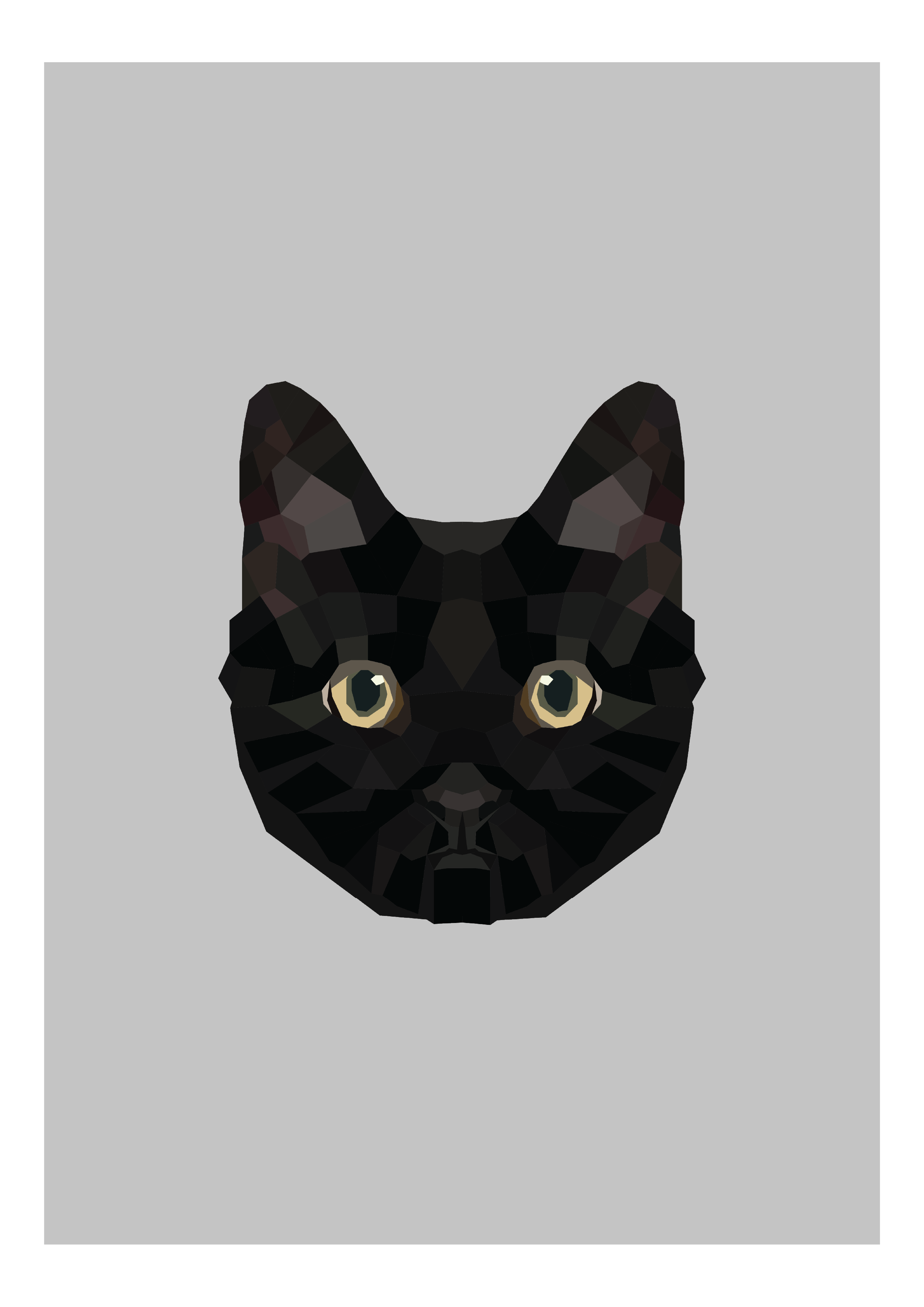 #13- Bombay Cat