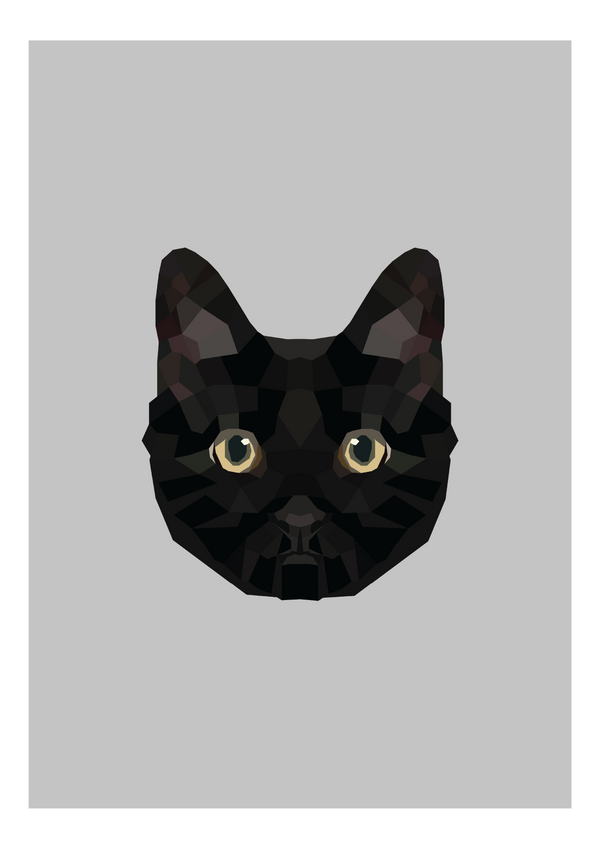 #13- Bombay Cat