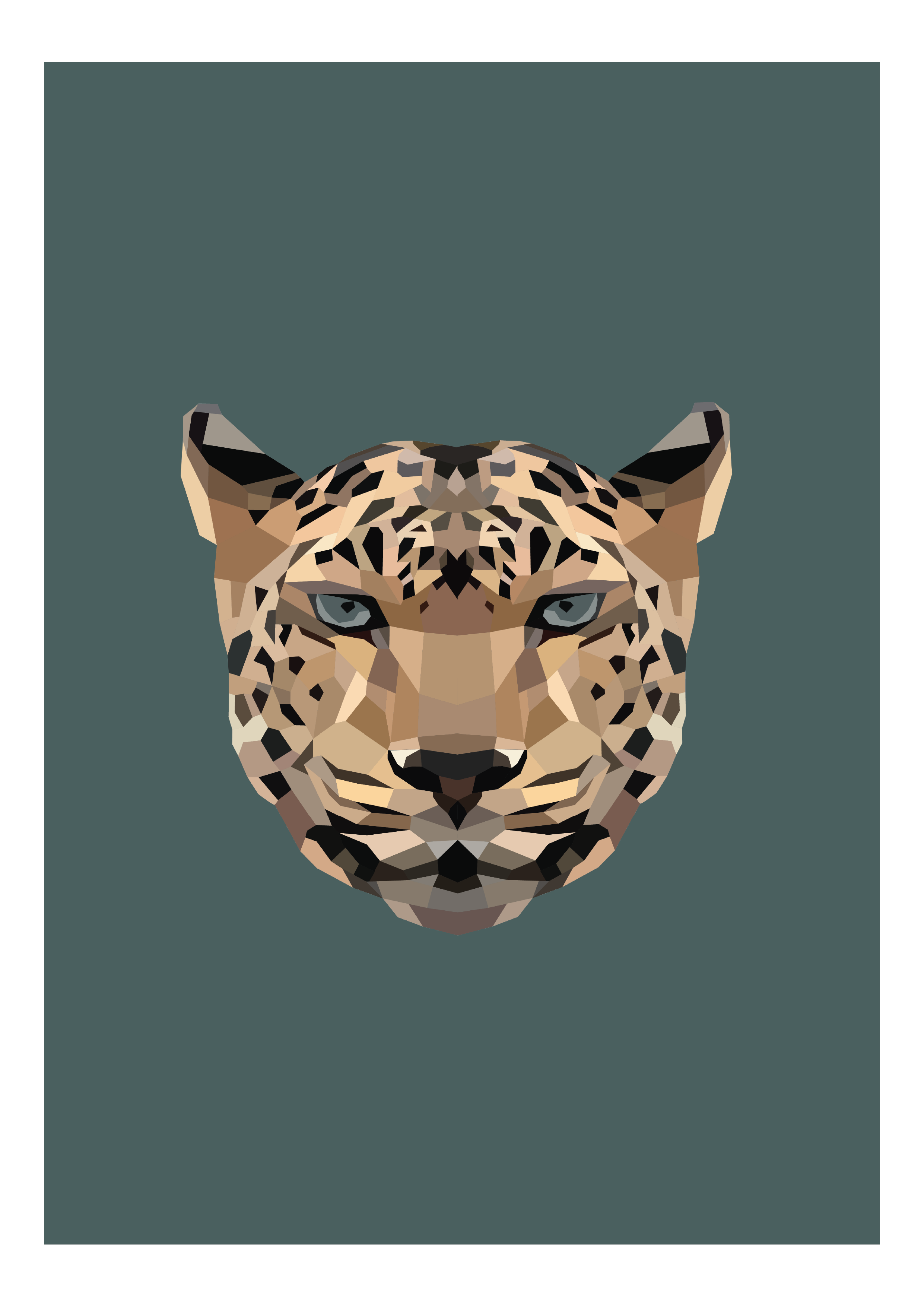 #14- Jaguar