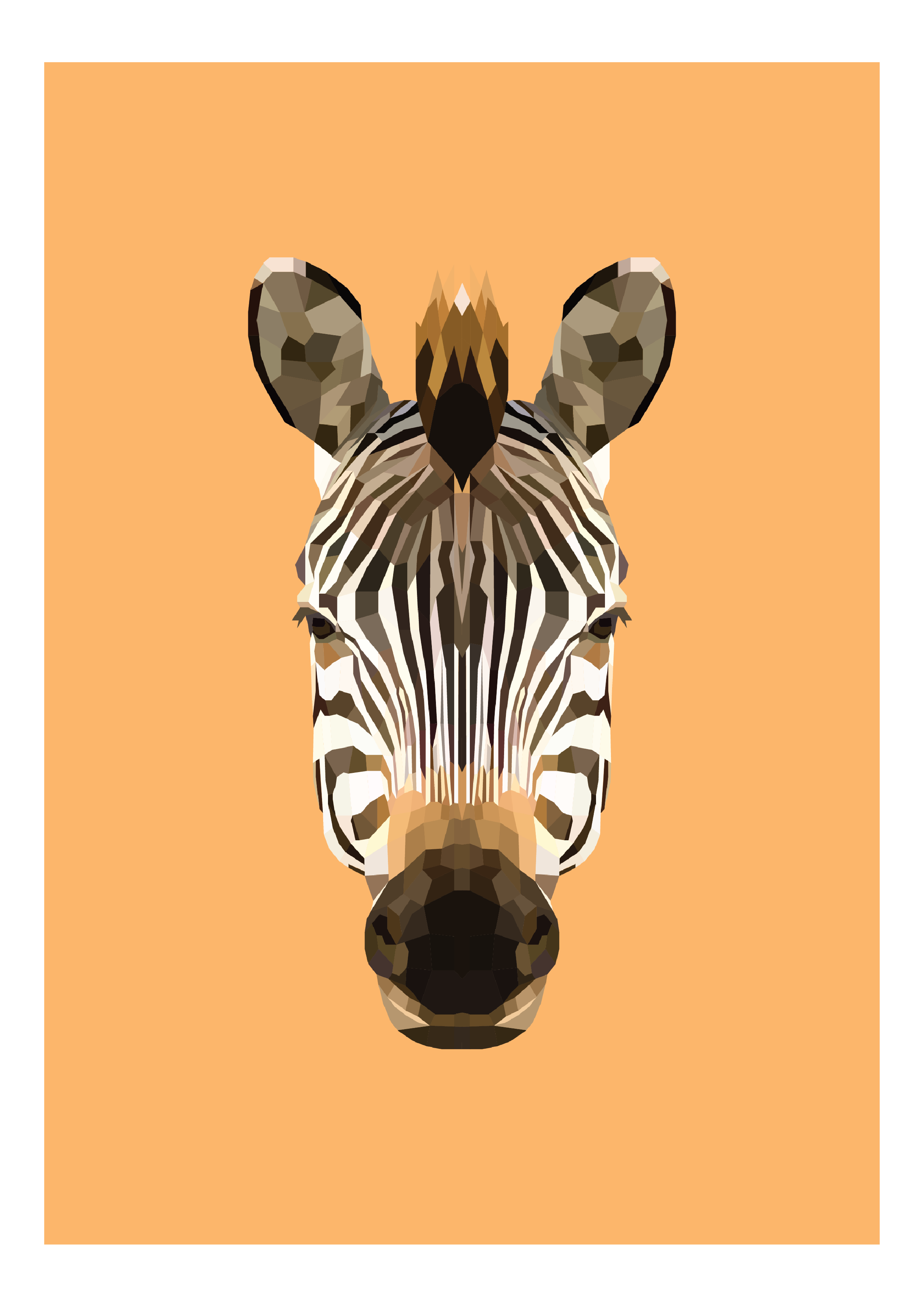 #20- Zebra