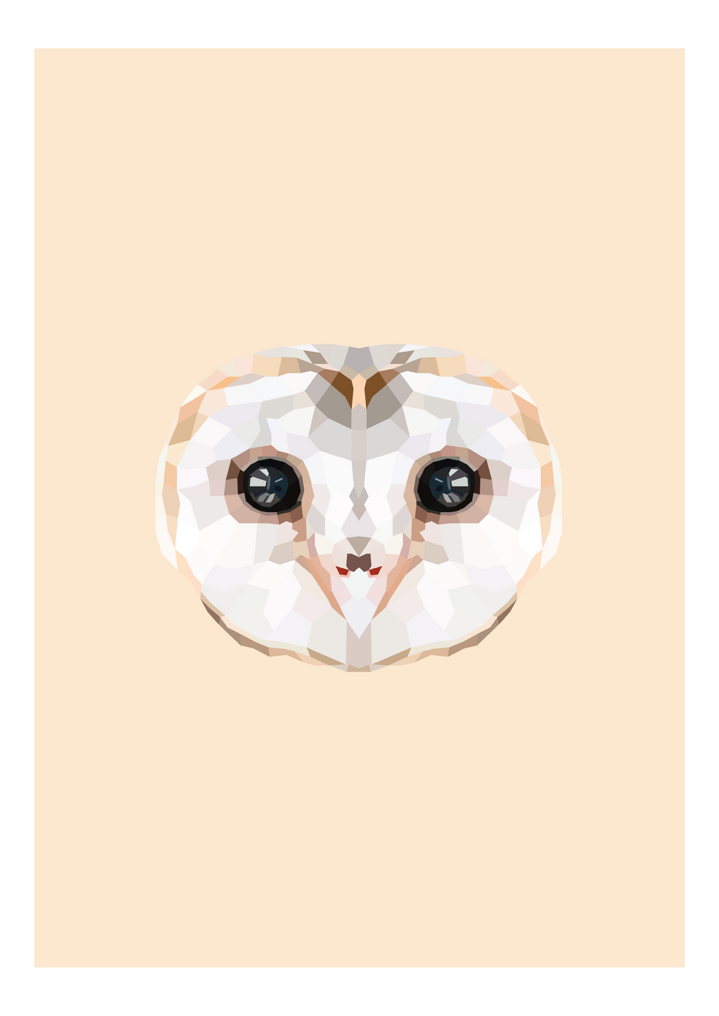 #22- Barn Owl