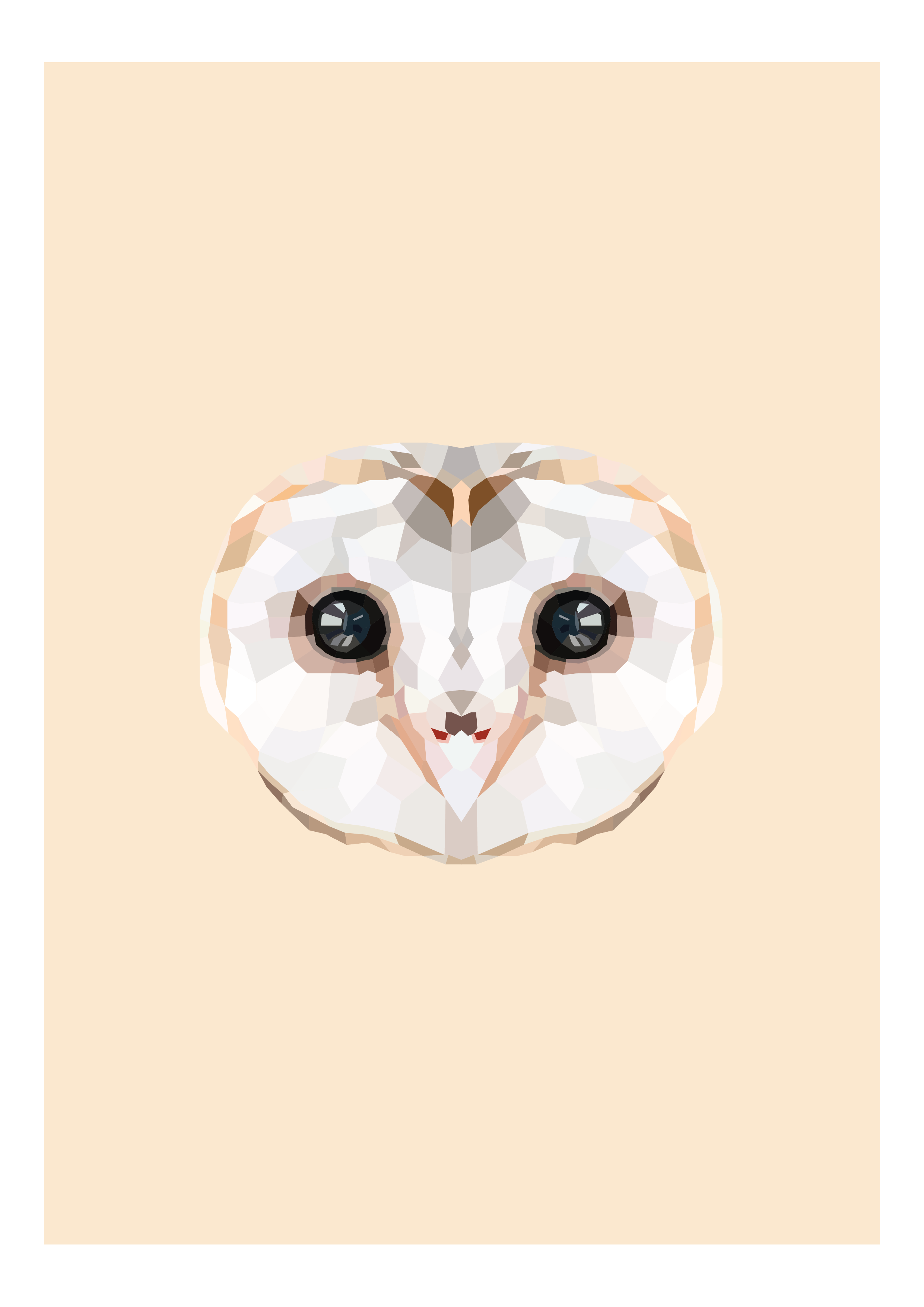 #22- Barn Owl