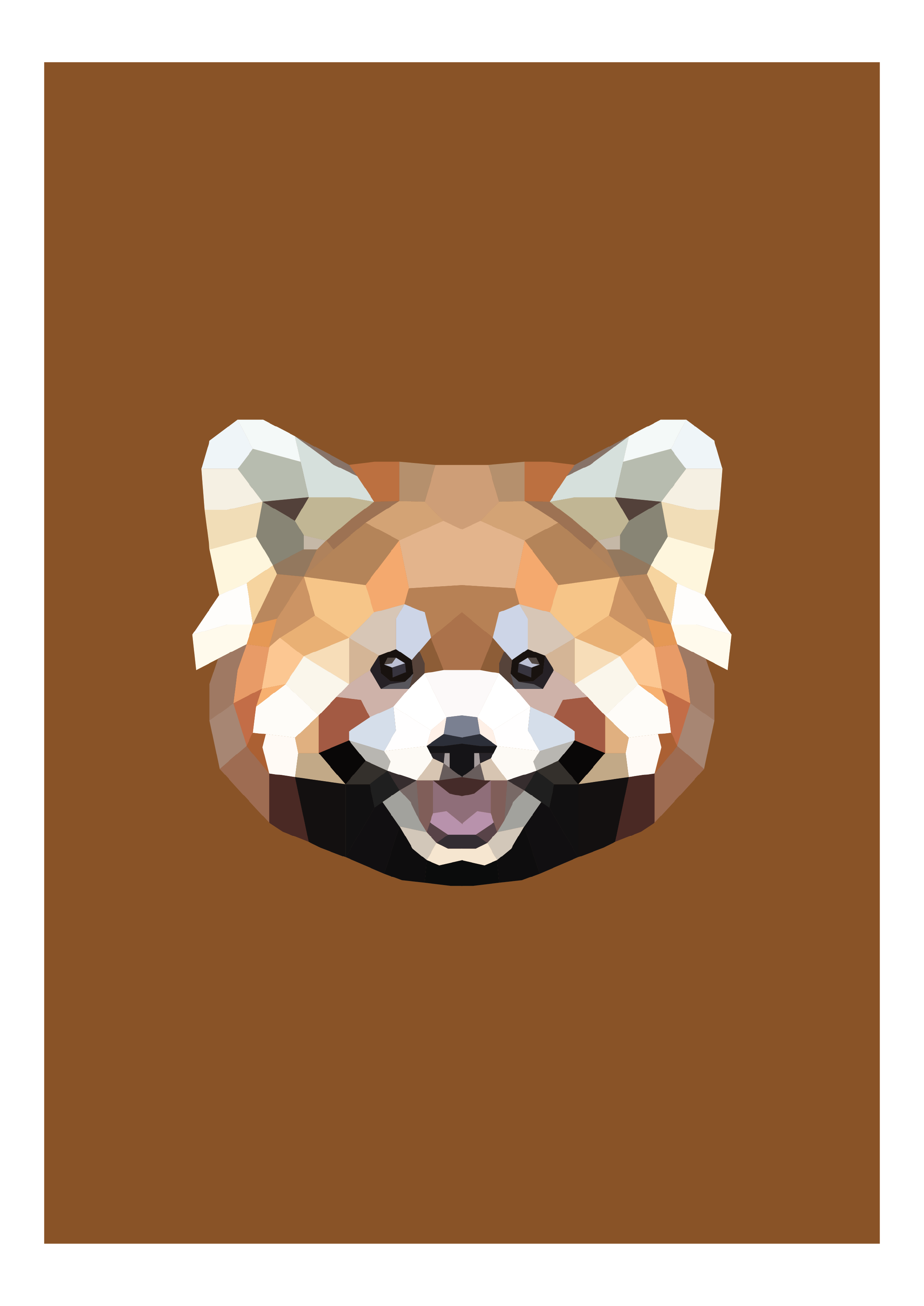 #24- Red Panda
