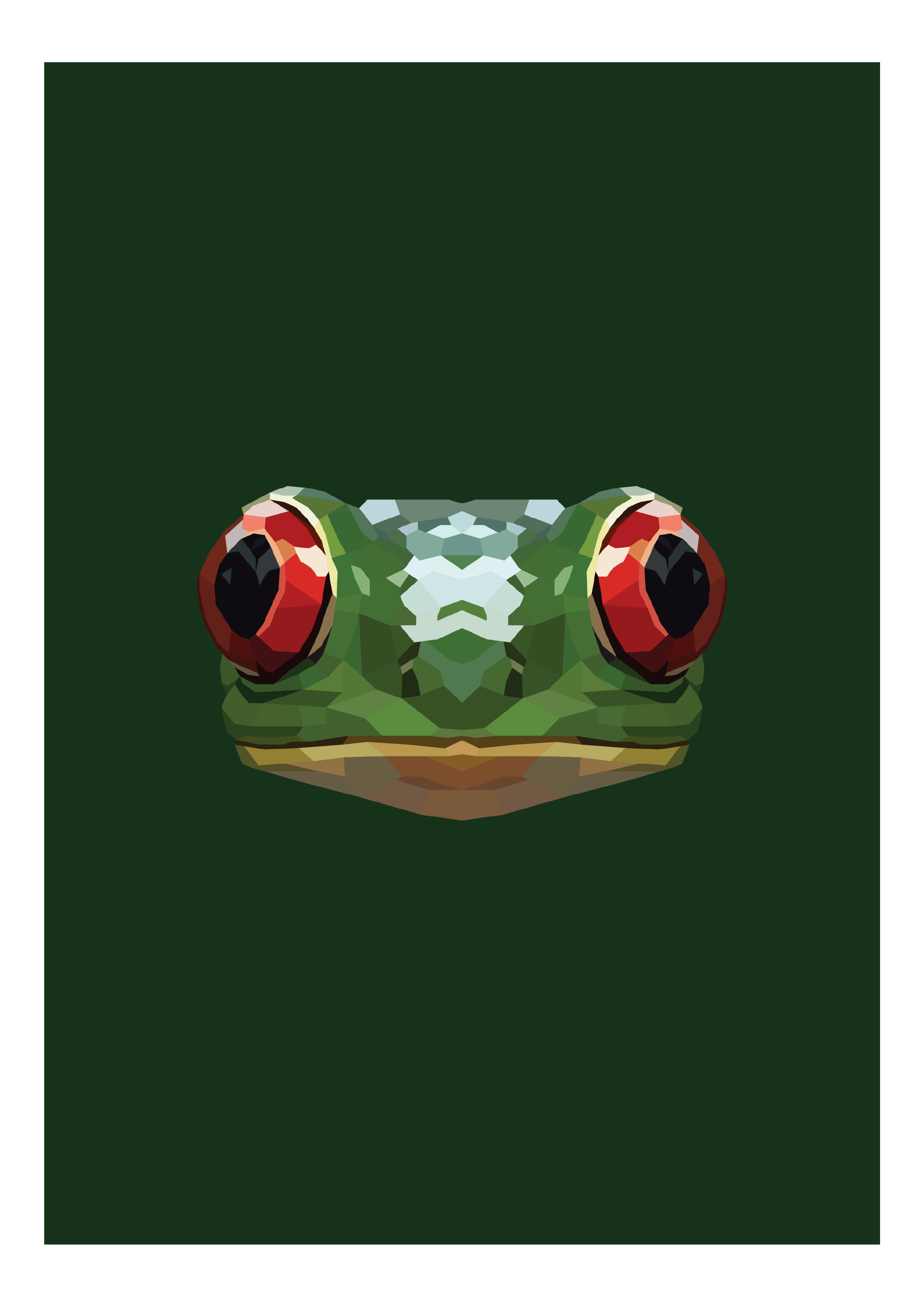 #25- Frog