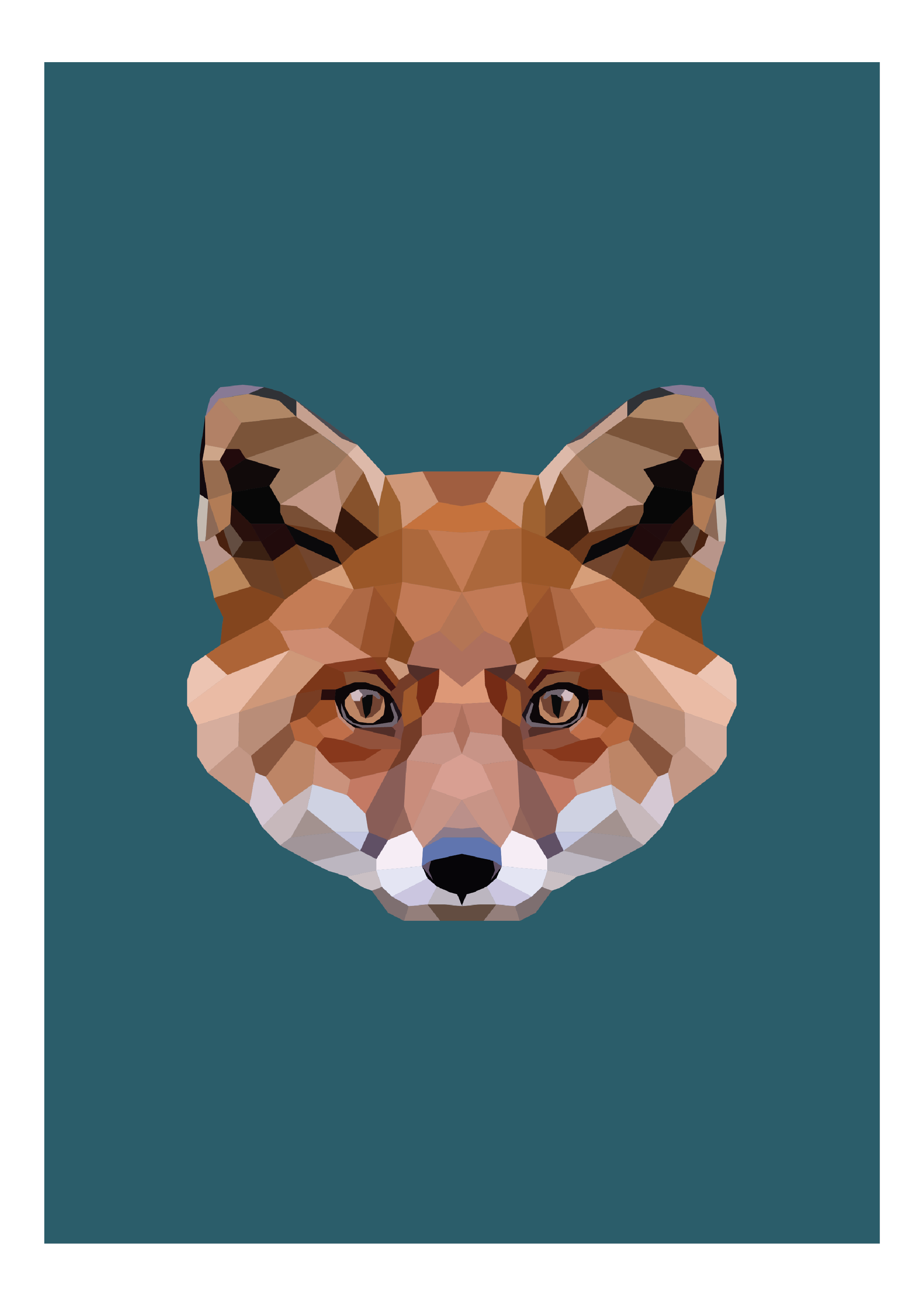 #27- Fox