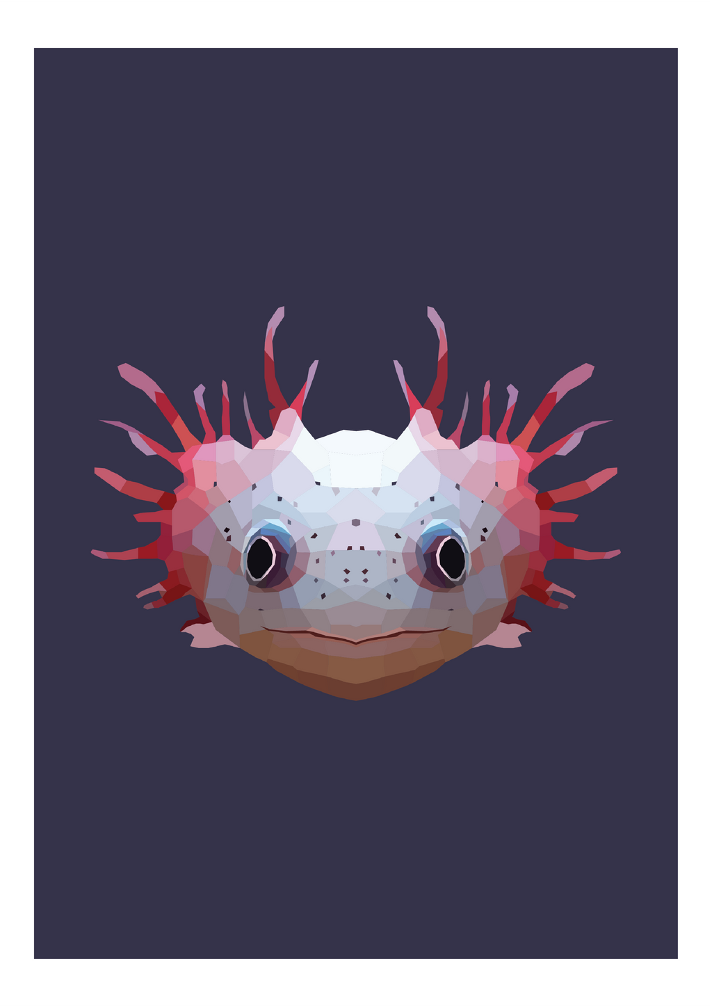 #28- Oxolotl