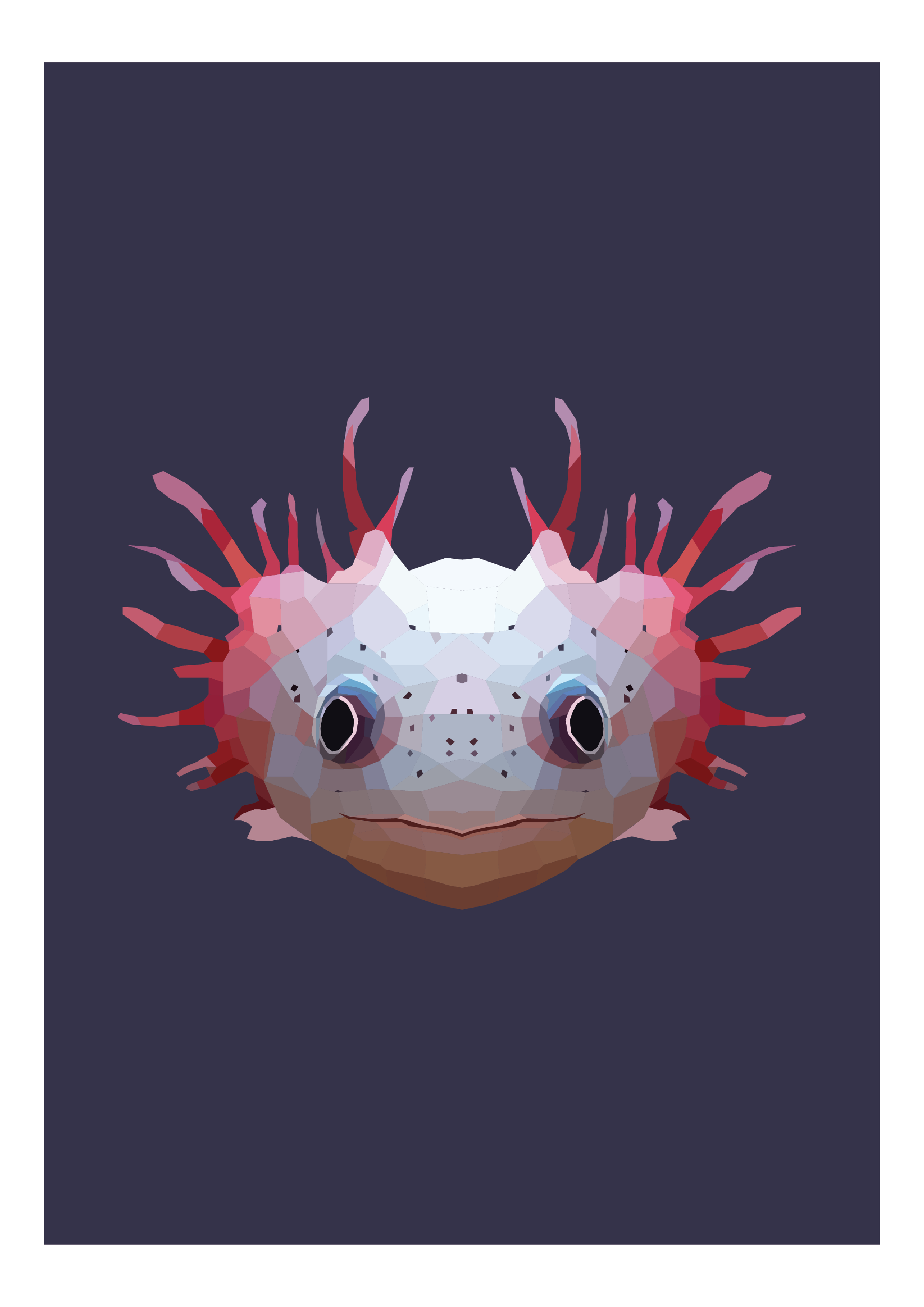 #28- Oxolotl