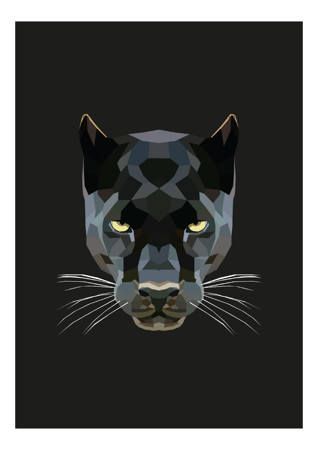 #29- Panther