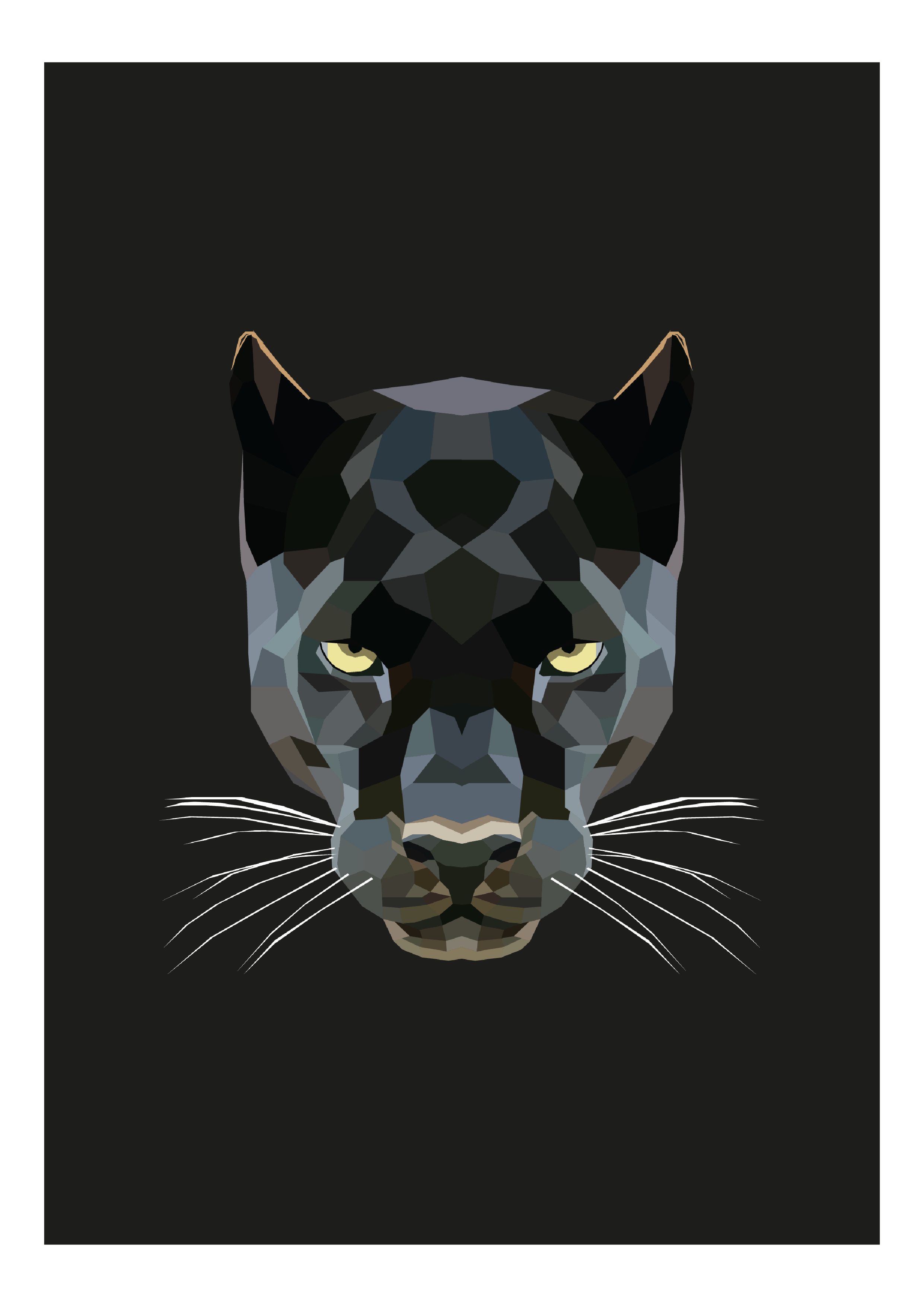 #29- Panther