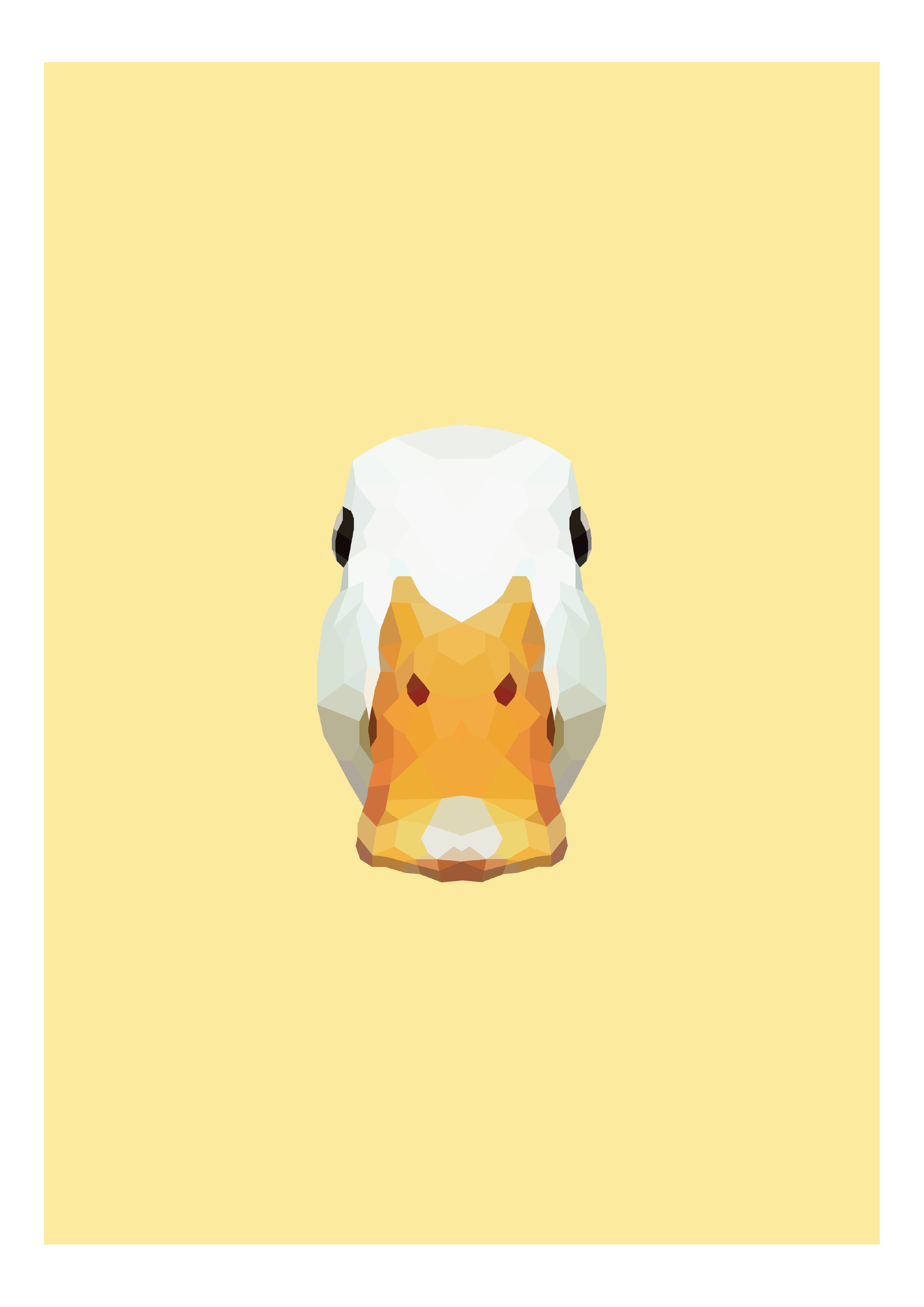 #30 - Duck