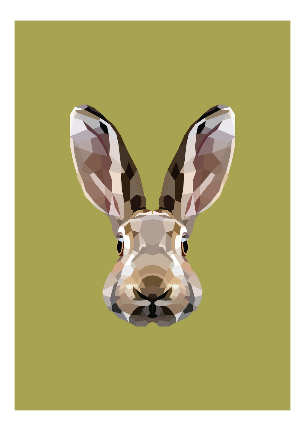 #31 - Rabbit