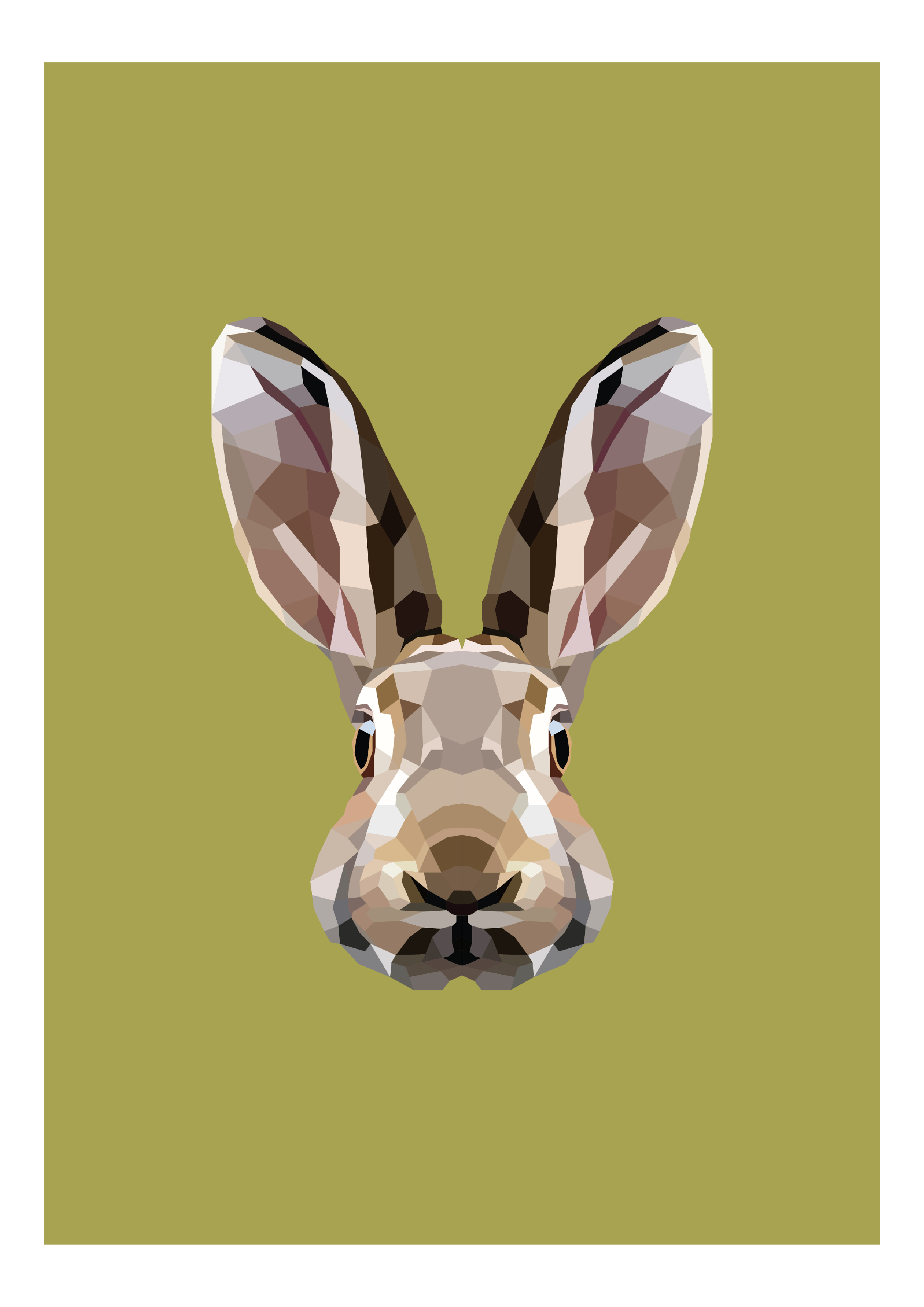 #31 - Rabbit