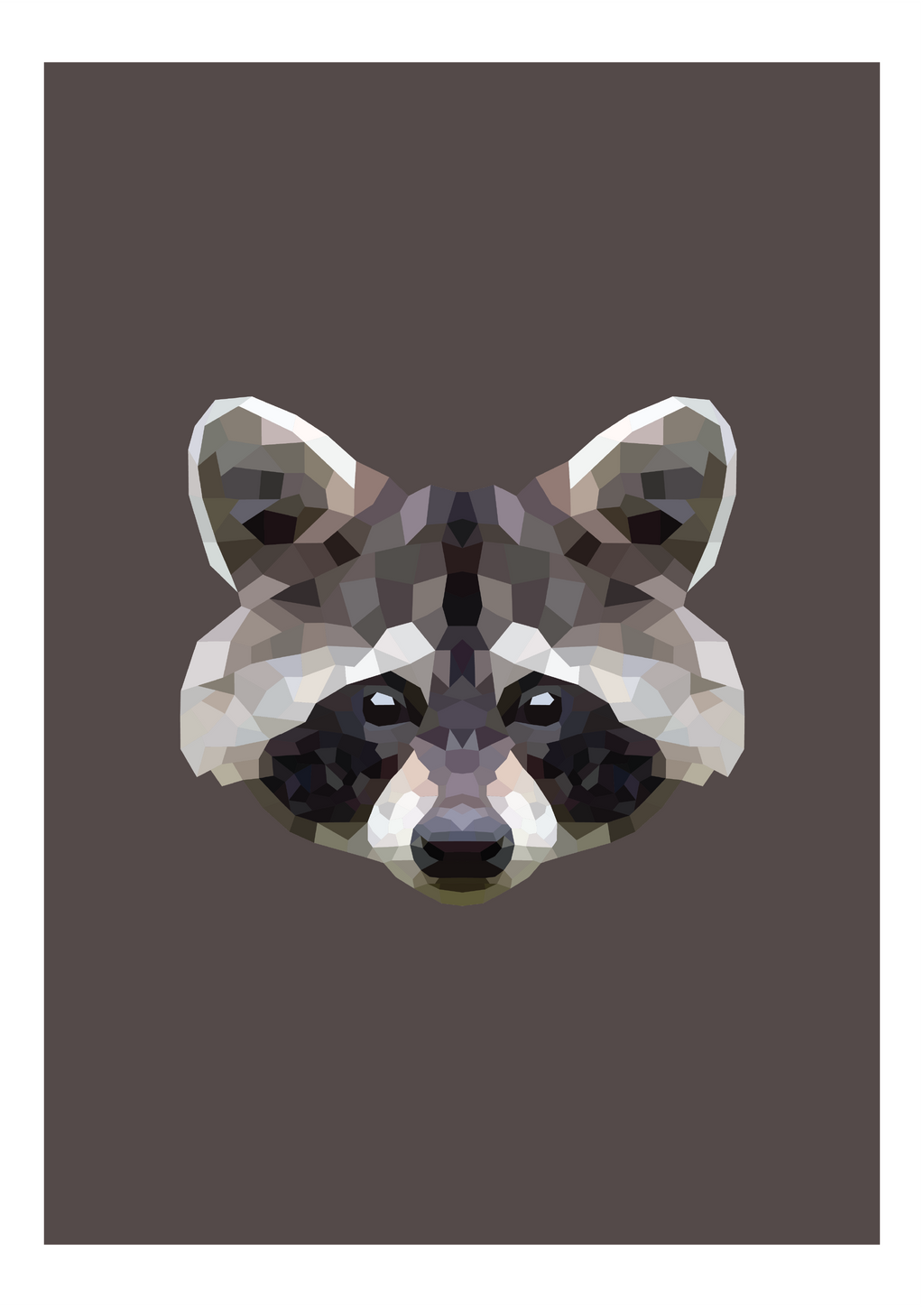 #8 - Racoon