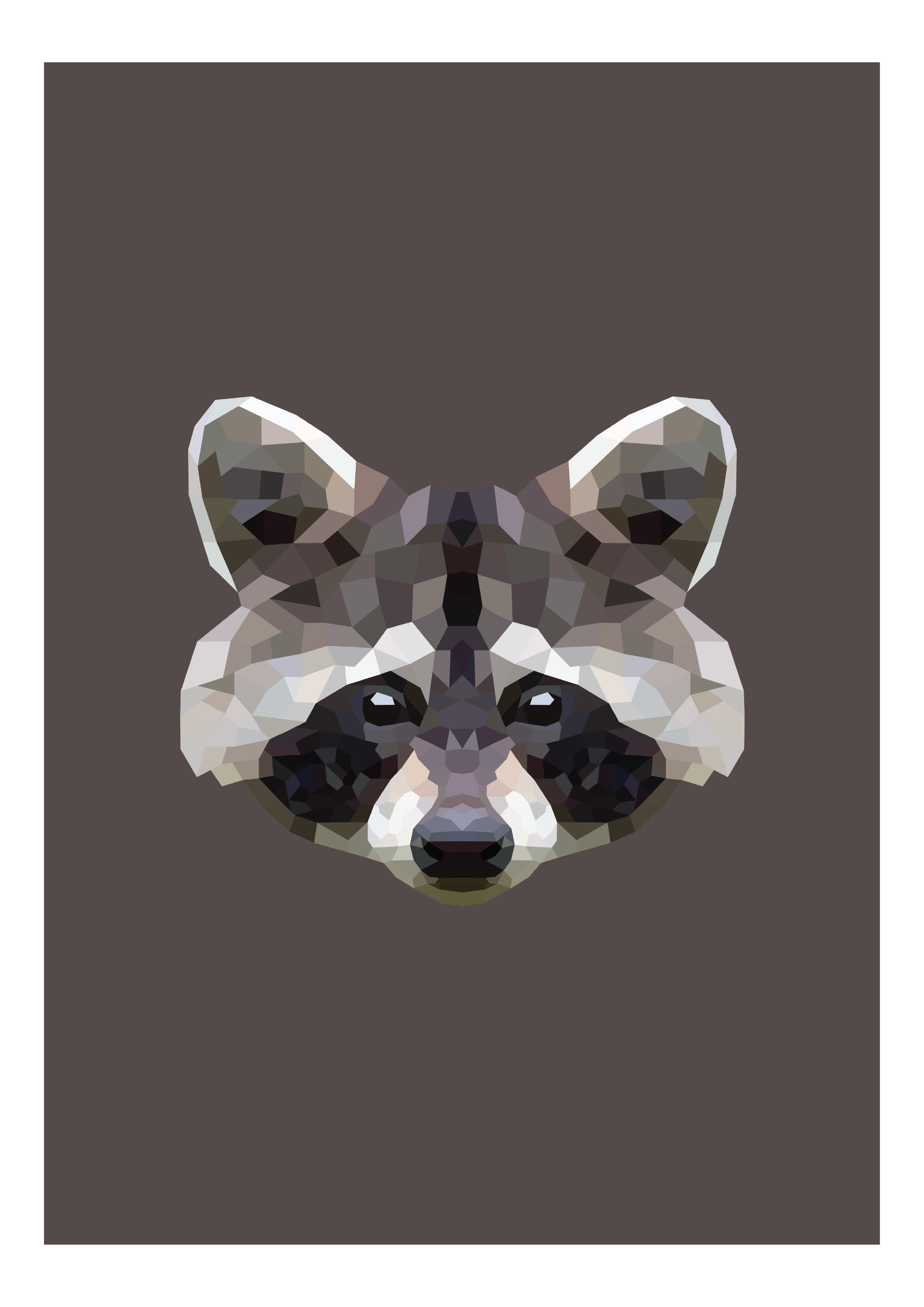 #8 - Racoon