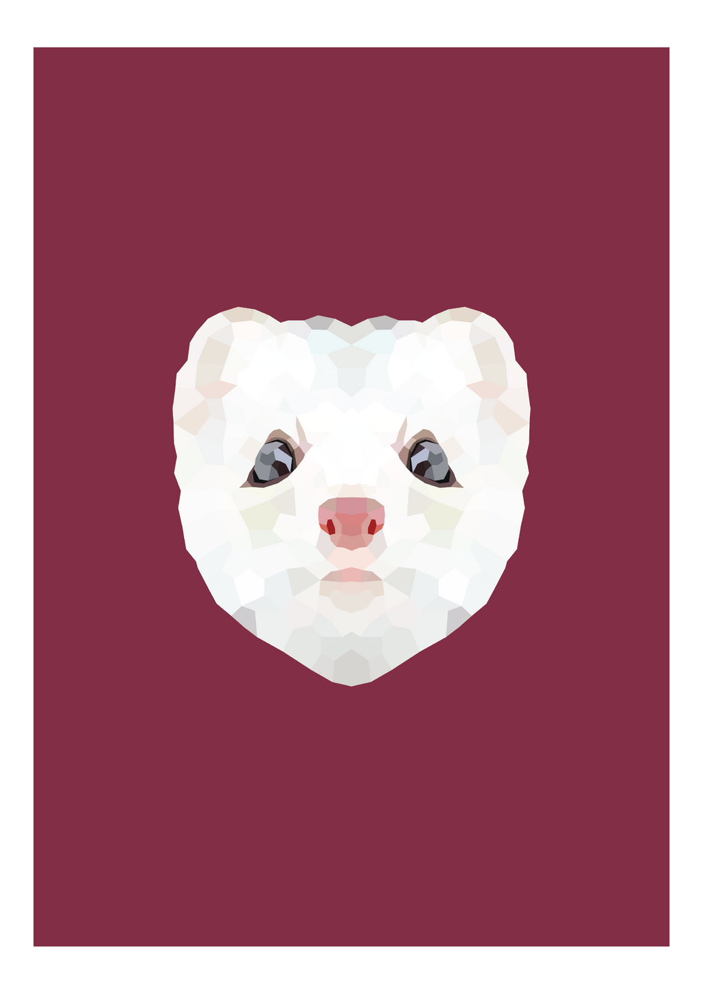 #7 - Ferret