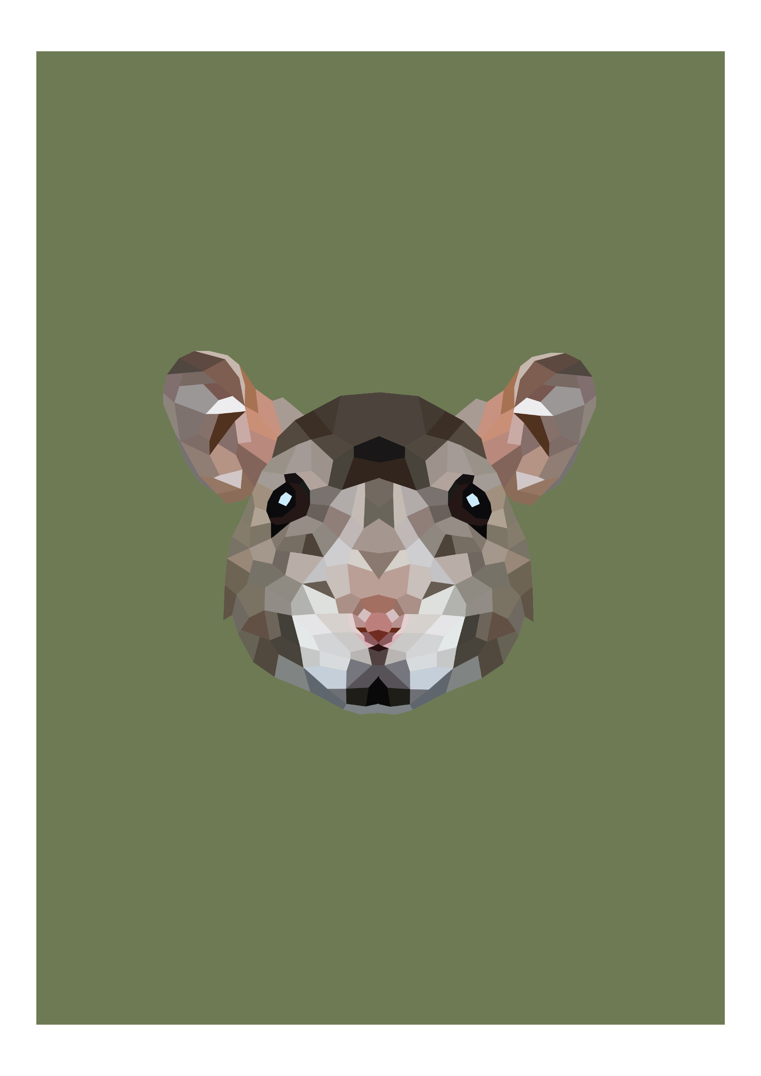 #5 - Rat