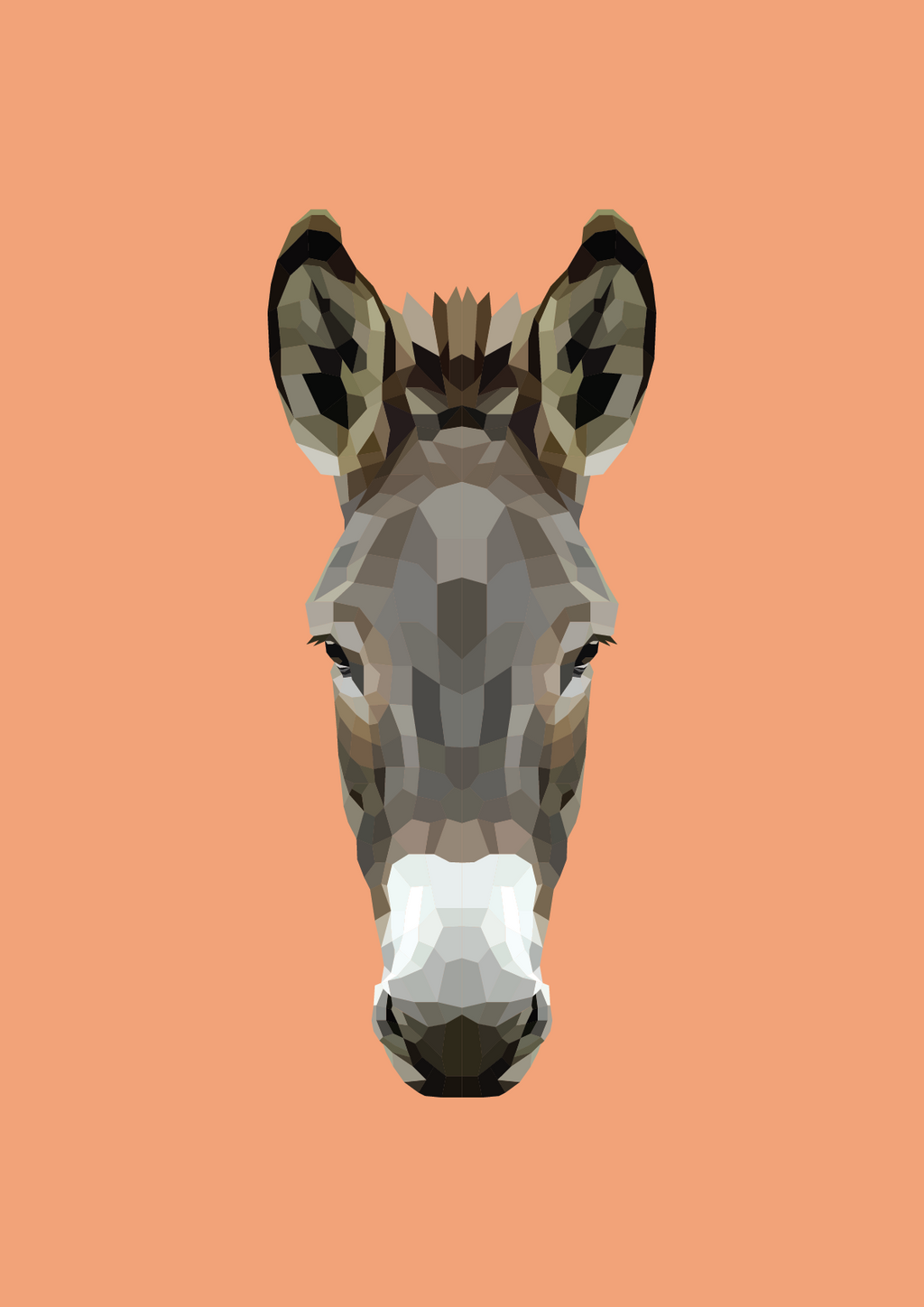 #44 -Donkey