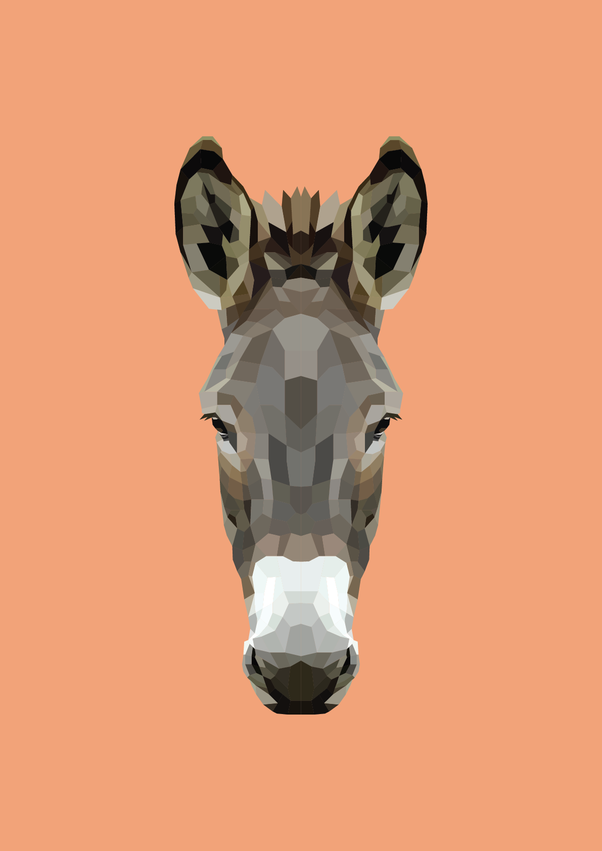 #44 -Donkey