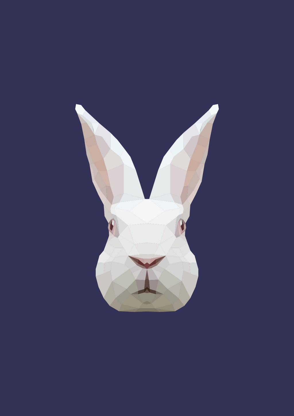 #46 -White Rabbit