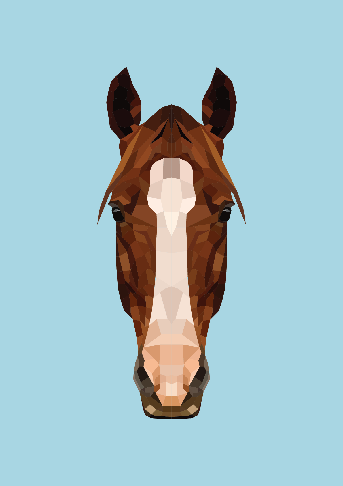#42 - Horse