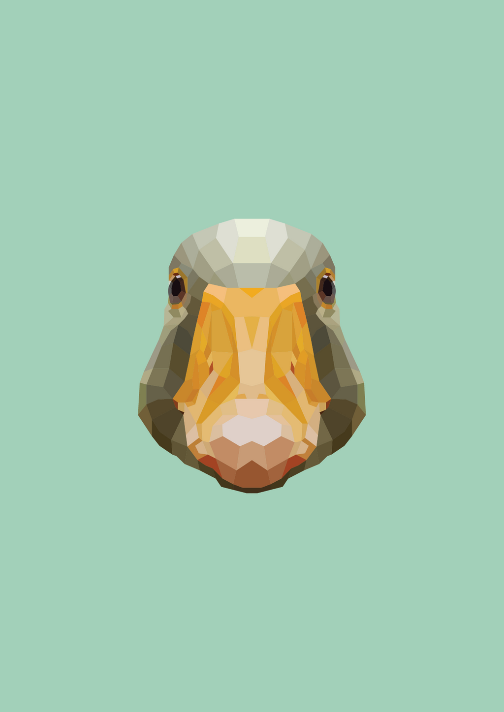 #47 -Goose