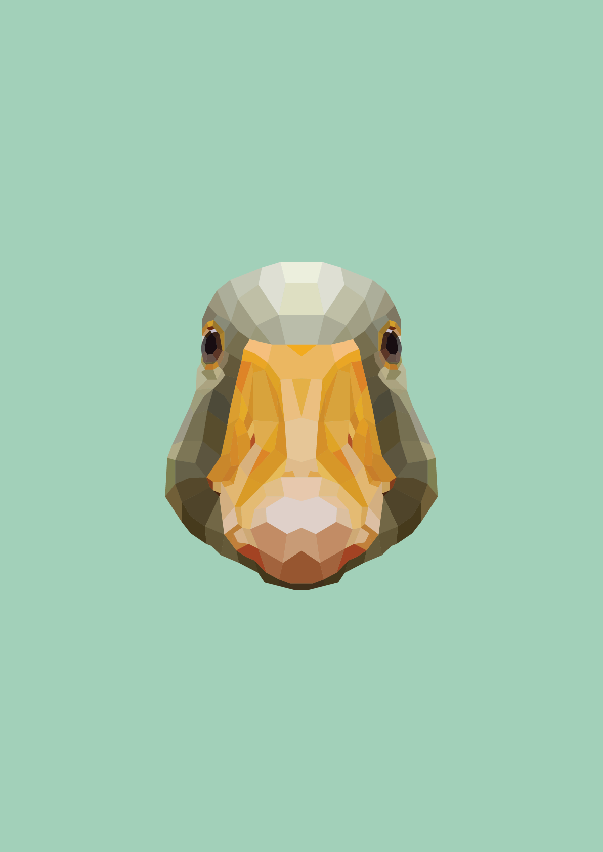 #47 -Goose