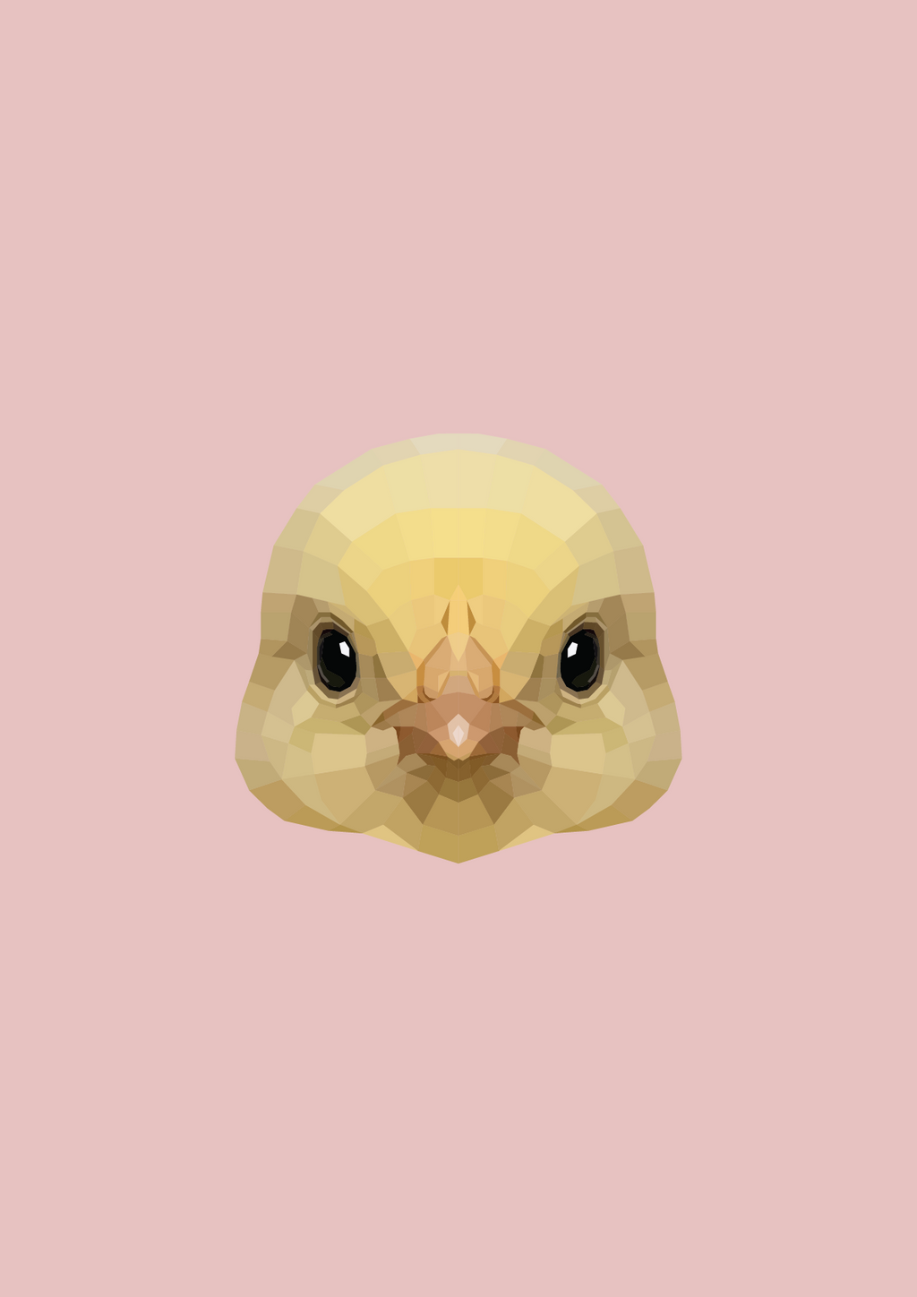 #49 -Baby Chicken