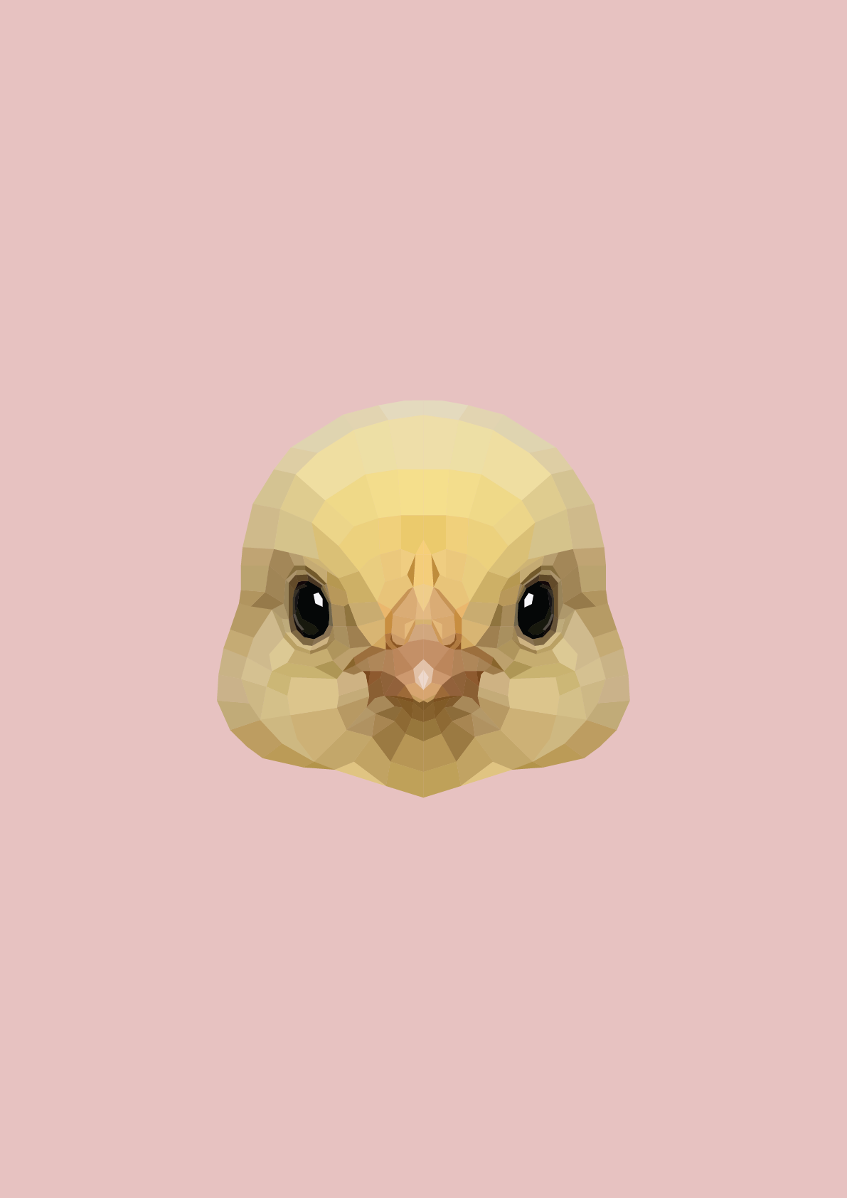 #49 -Baby Chicken