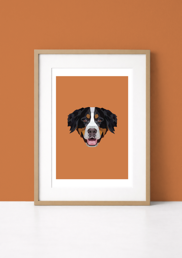 #11 - Bernese Mountain