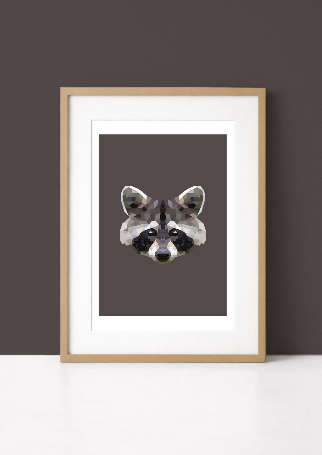 #8 - Racoon