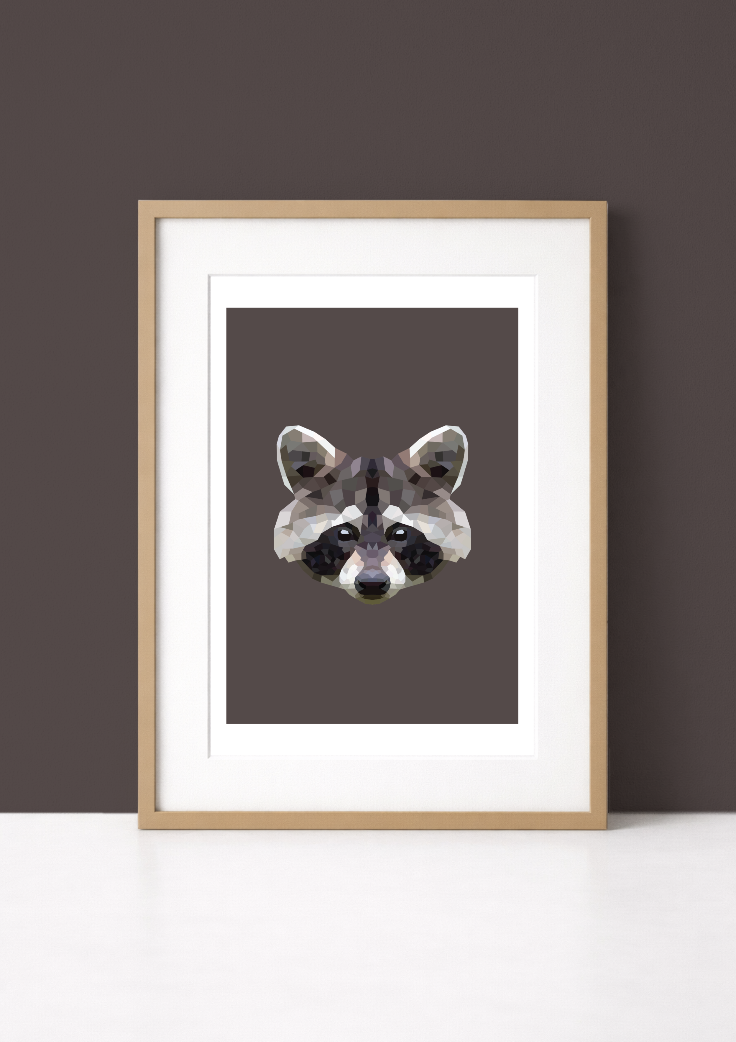 #8 - Racoon