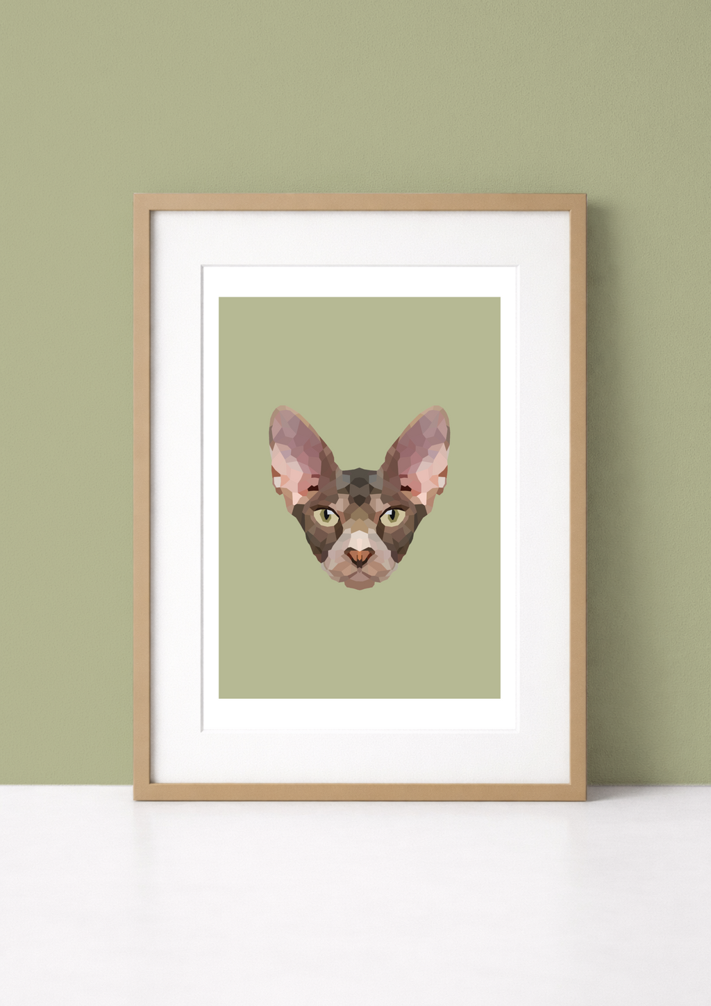 #17- Sphinx Cat