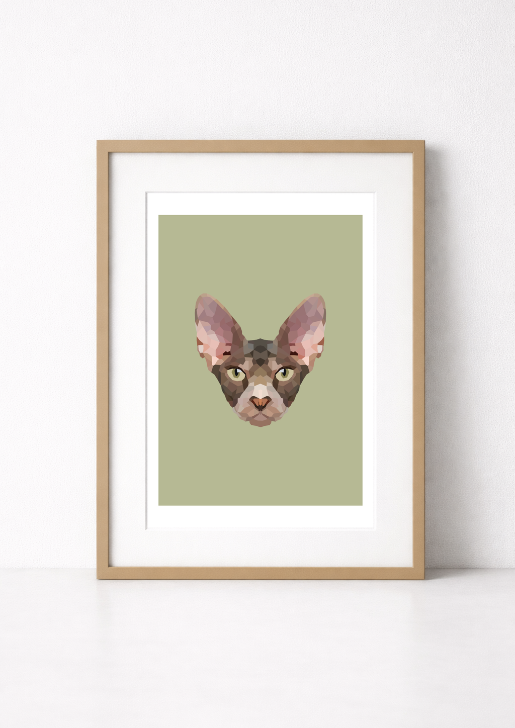 #17- Sphinx Cat