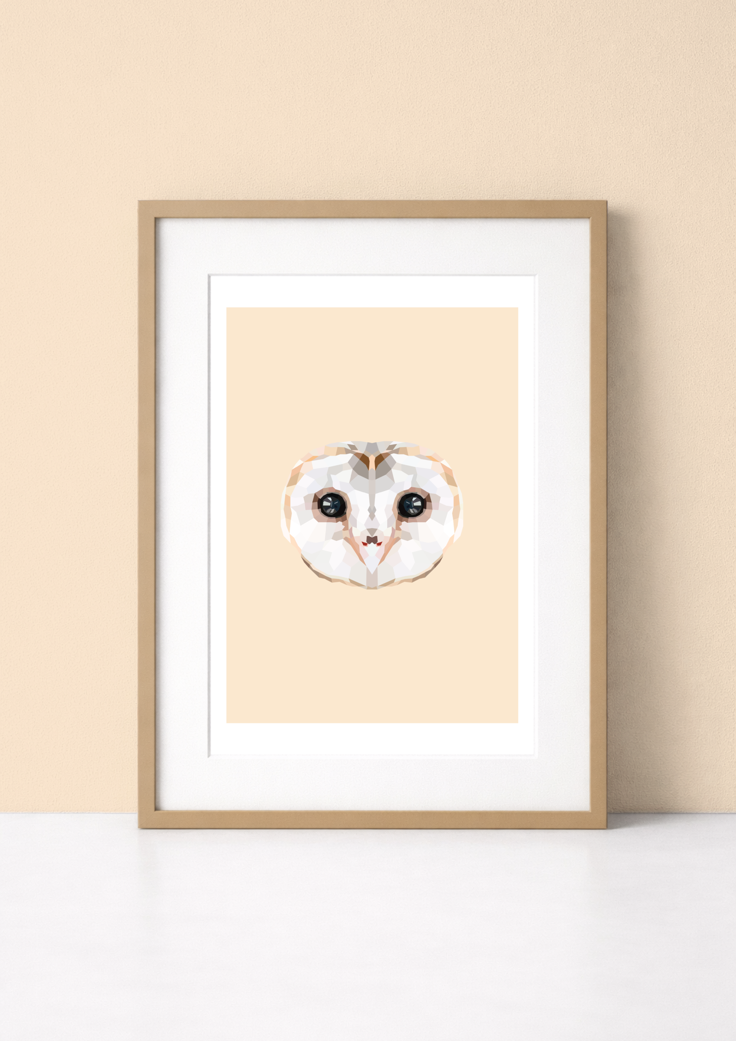 #22- Barn Owl