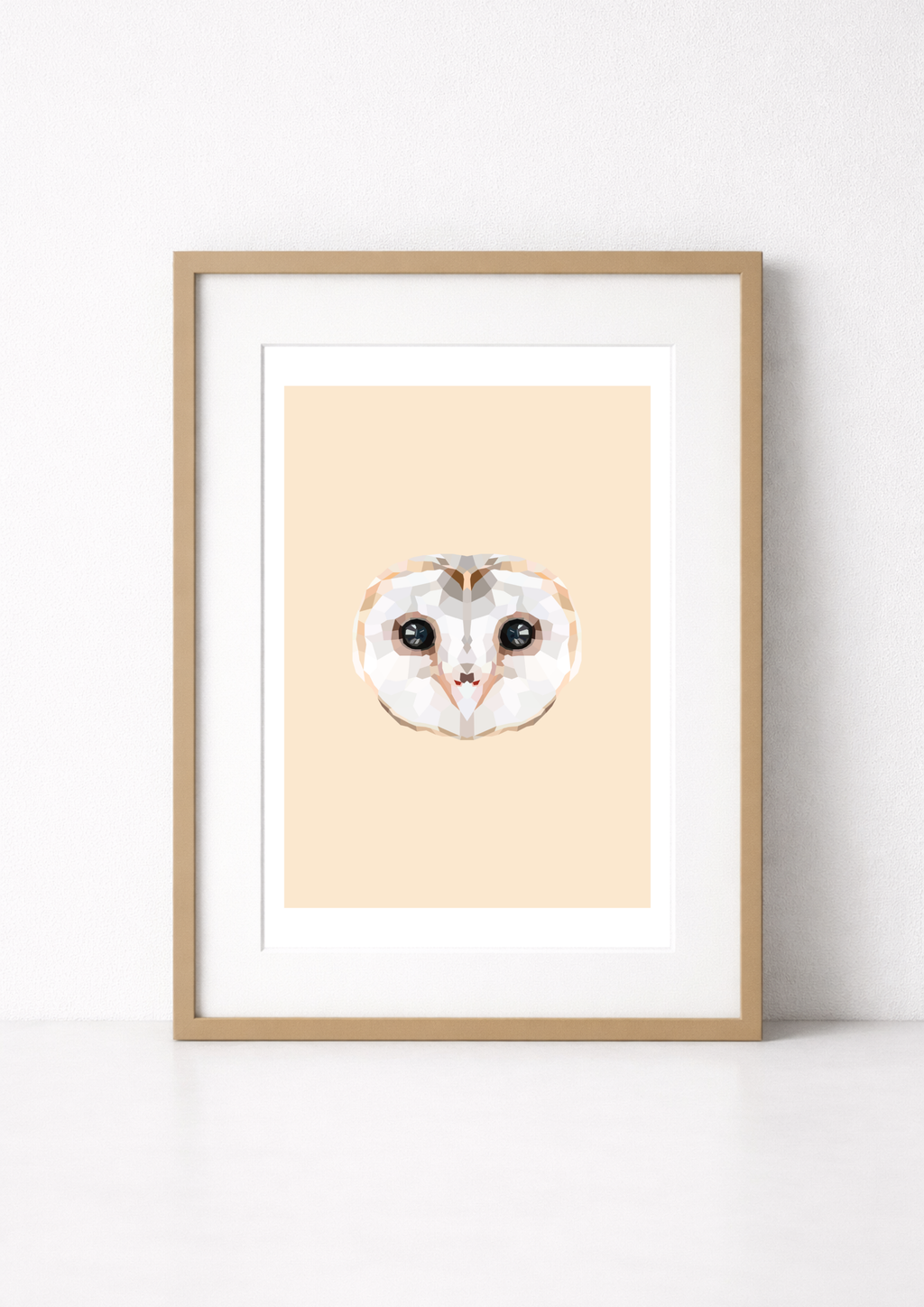 #22- Barn Owl