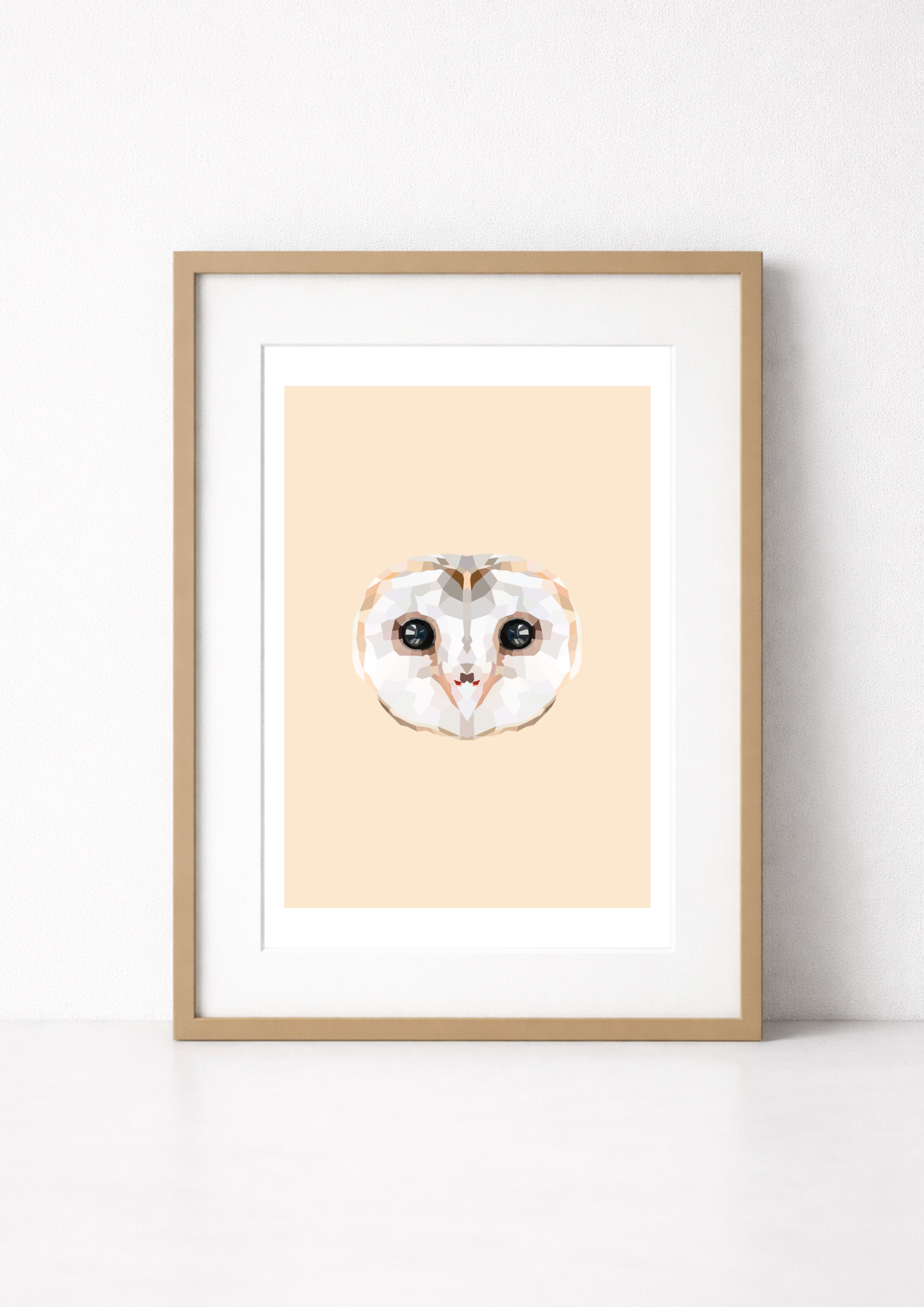 #22- Barn Owl
