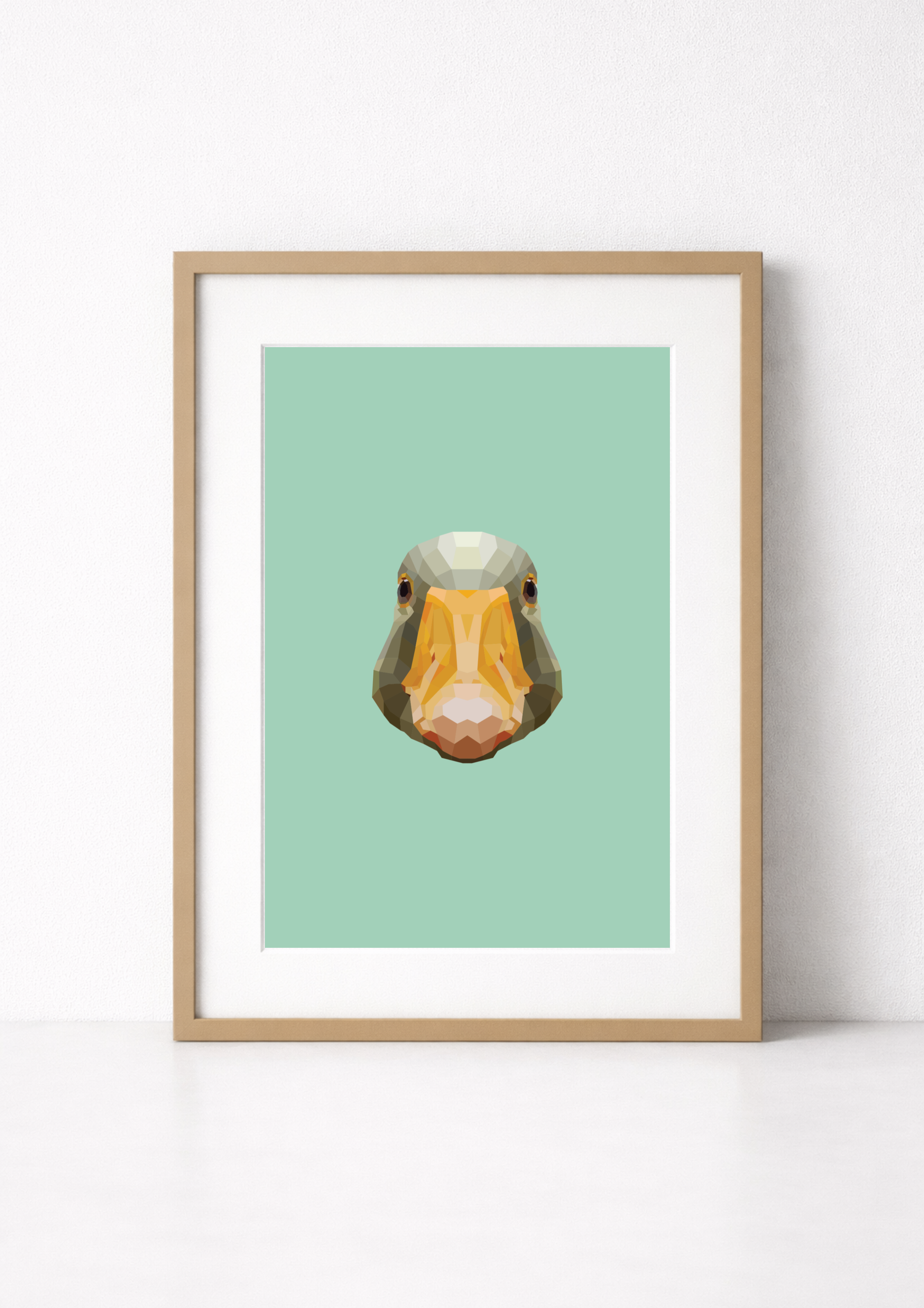 #47 -Goose
